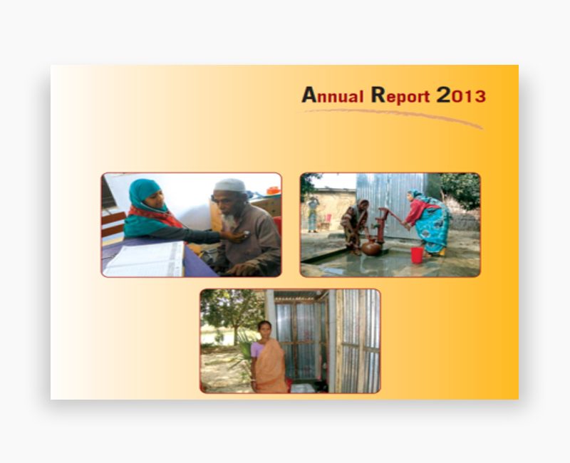 Dascoh annoual report 2013